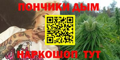 индика Кулебаки