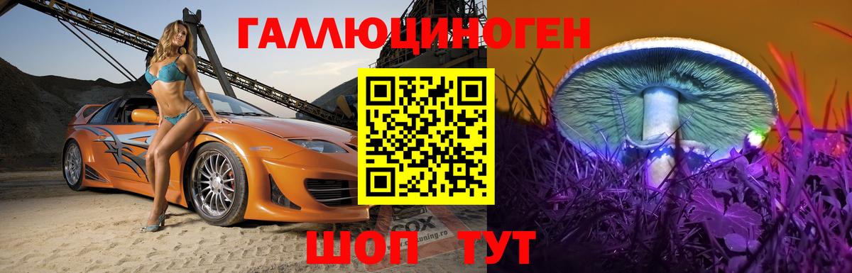 Альфа ПВП Камышин