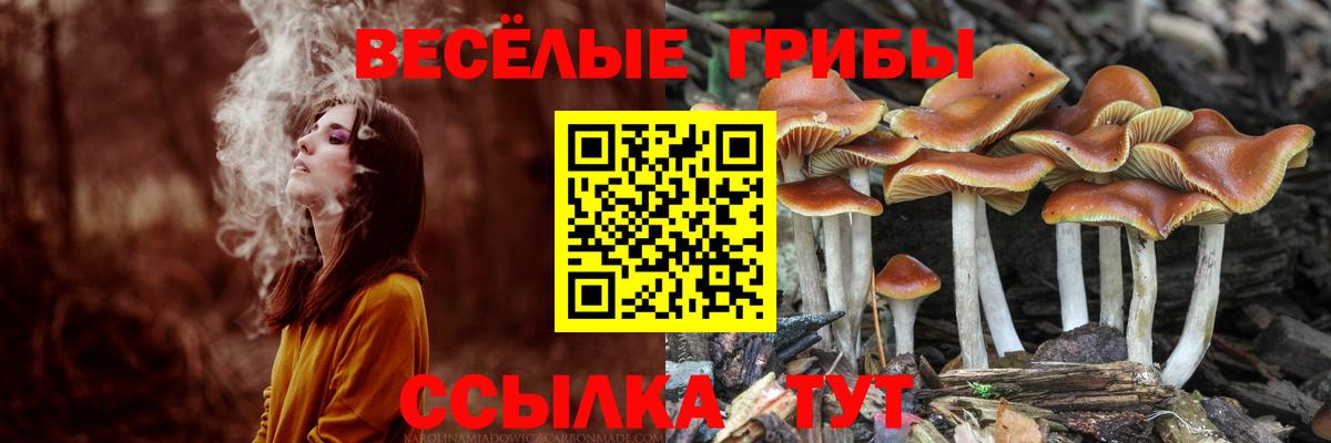 Галлюциногенные грибы ЛСД Камышин